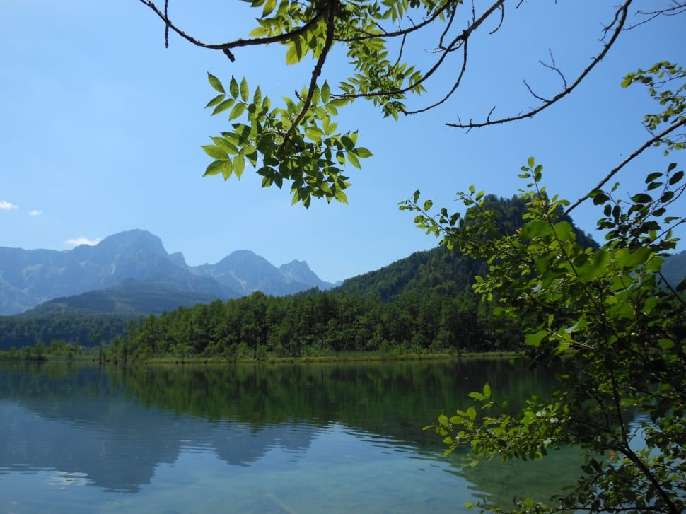 mountain range covered by green trees beside lake under clear blue sky preview