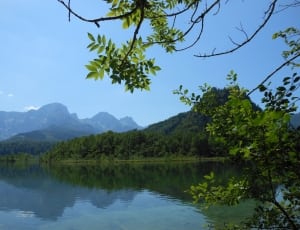 mountain range covered by green trees beside lake under clear blue sky thumbnail
