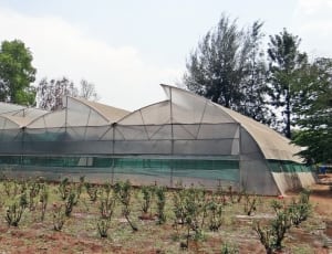 white greenhouse surrounded with plants thumbnail