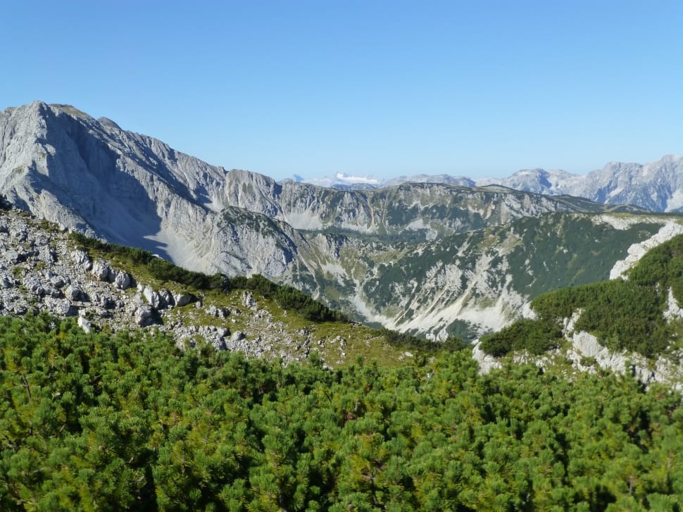 mountain range covered in trees preview
