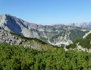 mountain range covered in trees thumbnail
