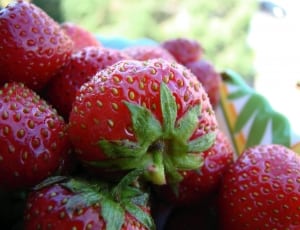 red strawberry thumbnail