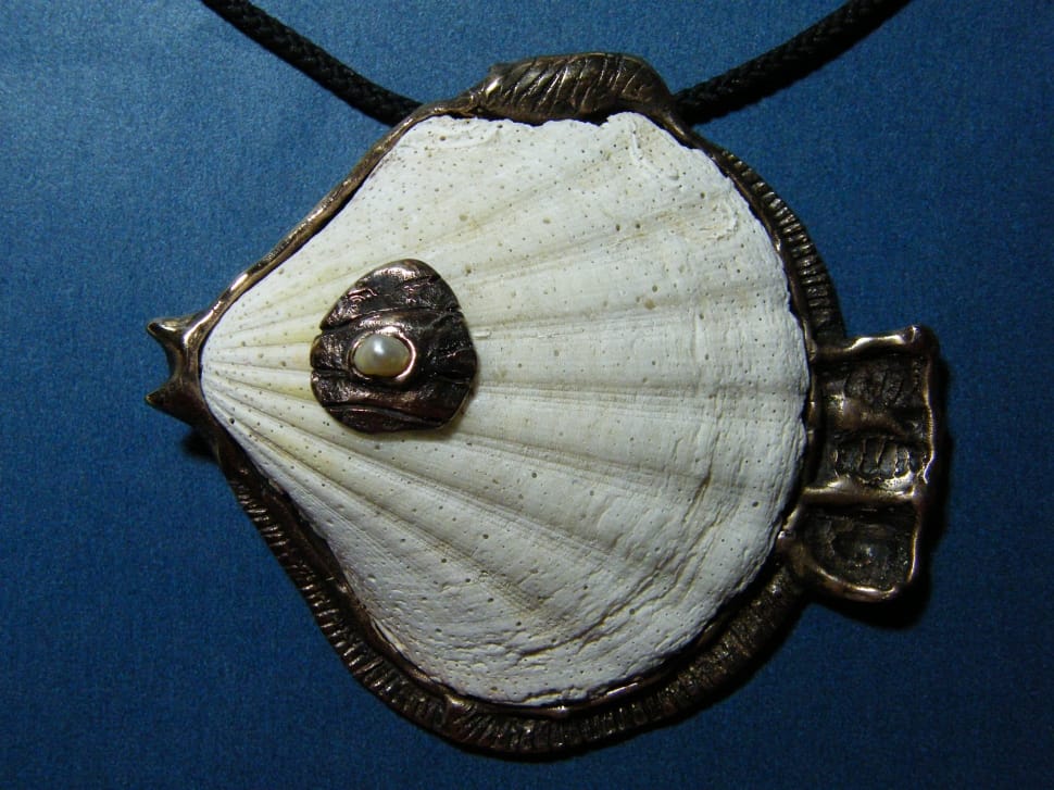white seashell pendant preview