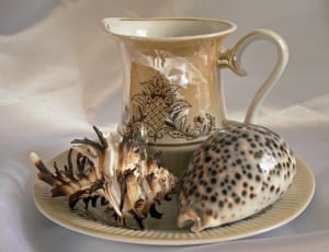 brown and black ceramic vase and 2 shells thumbnail