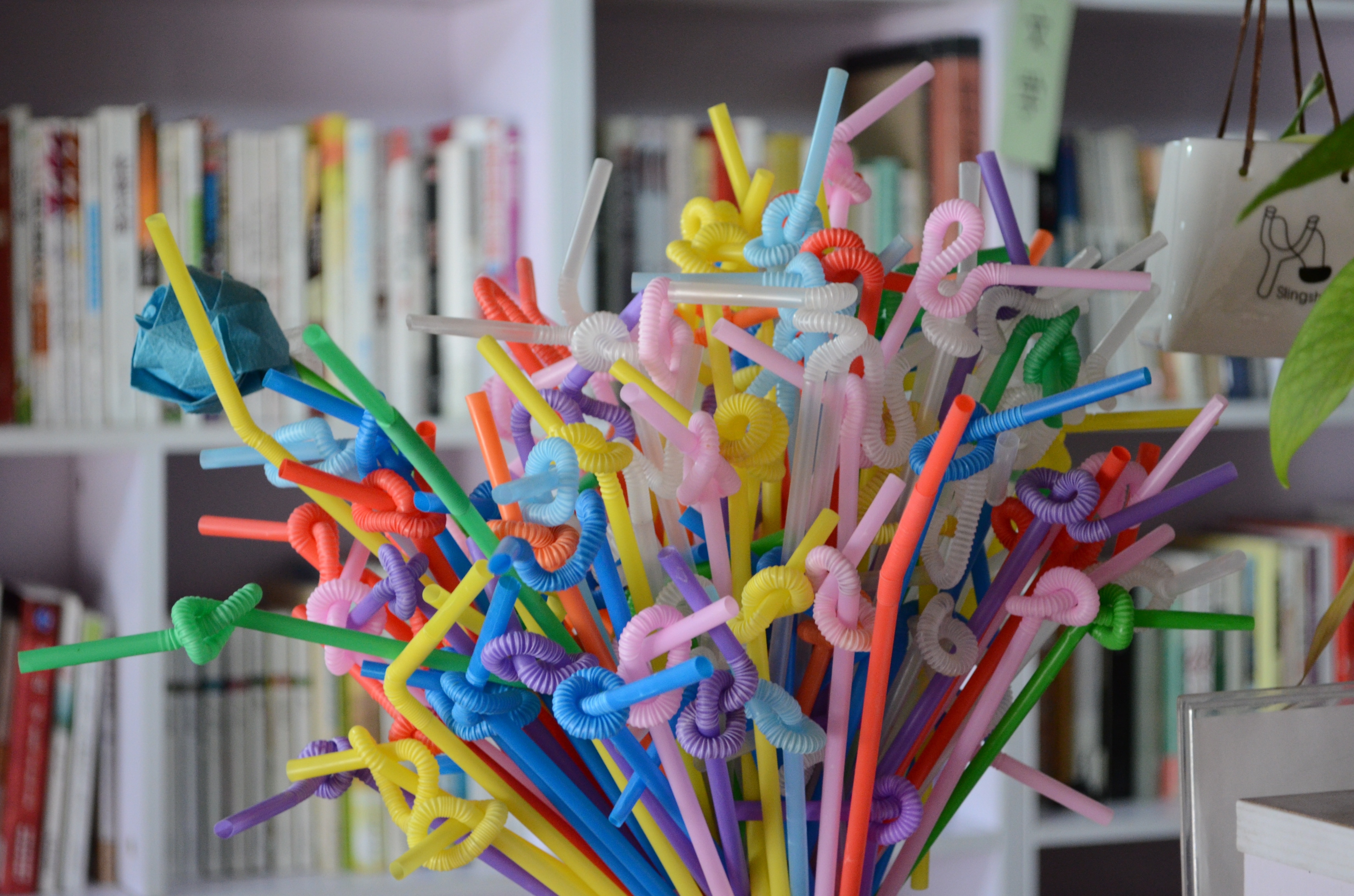 assorted entwined straws