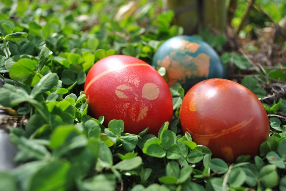 3 red and green eastern egg preview