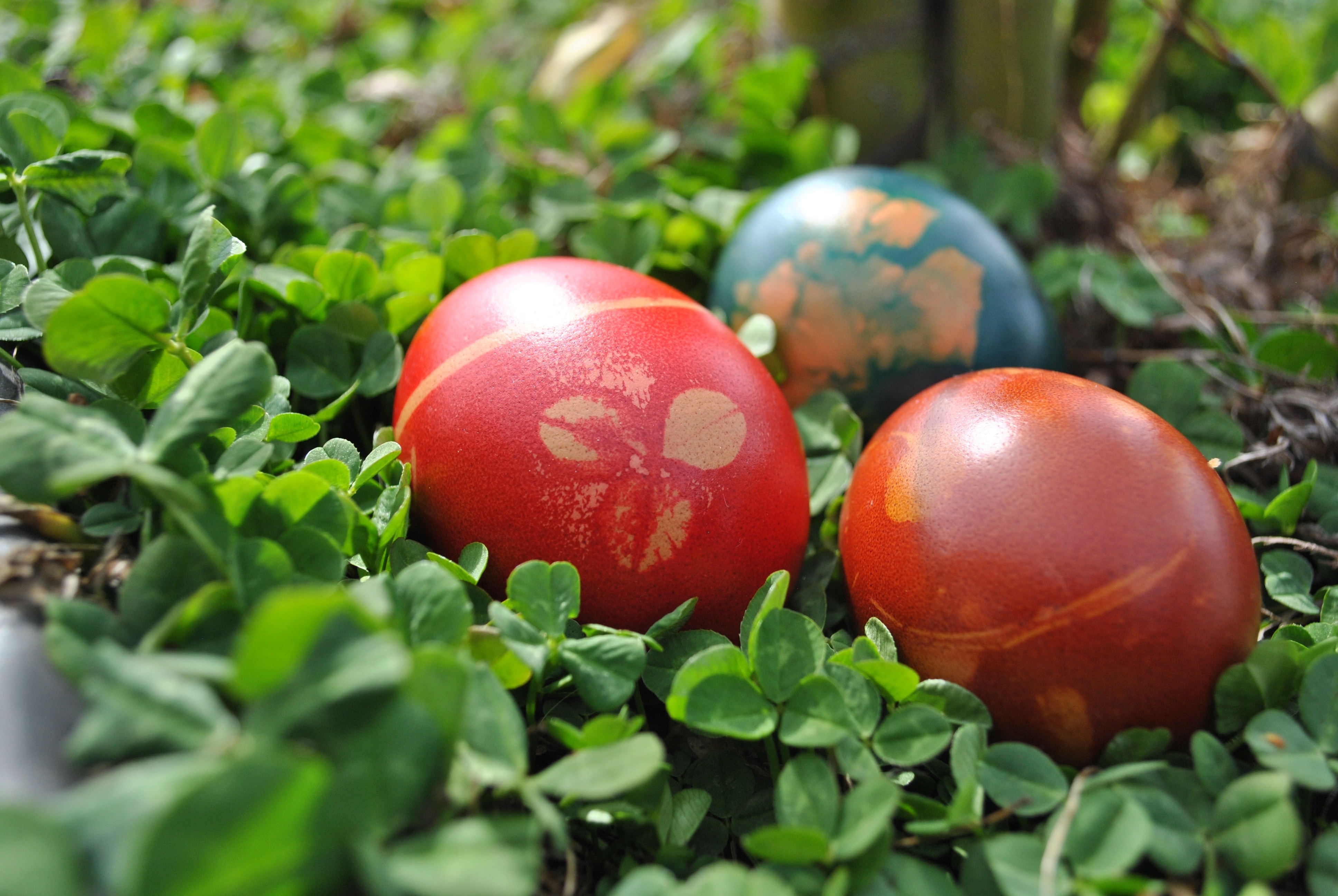 3 red and green eastern egg