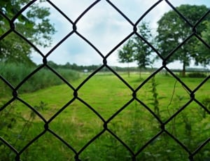 black link fence thumbnail