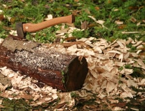 brown wooden handle ax thumbnail