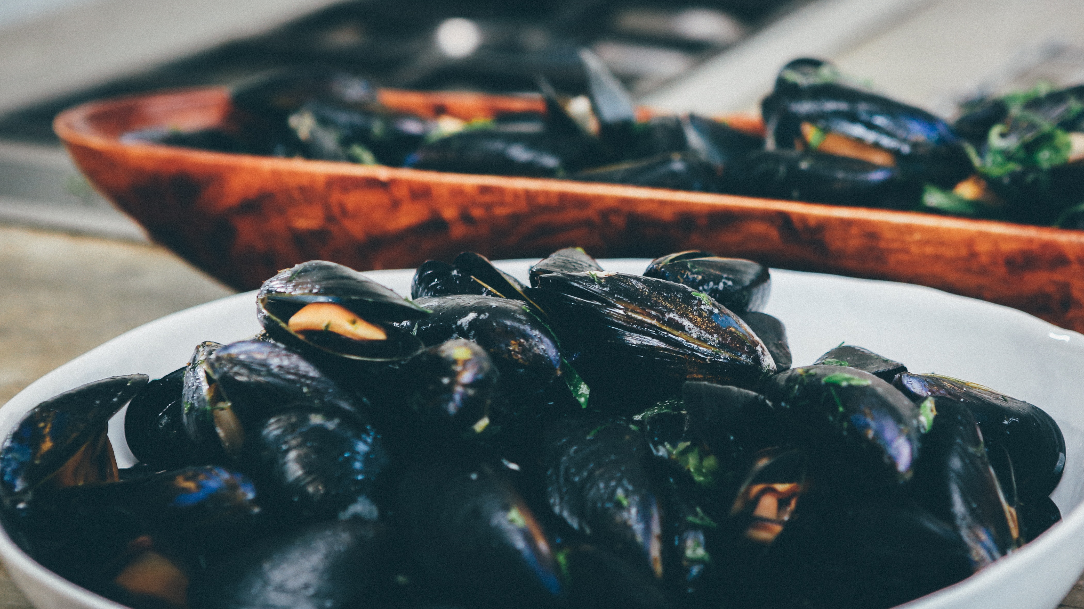 Mussels Vintage Images – Browse 6,120 Stock Photos, Vectors, and Video |  Adobe Stock