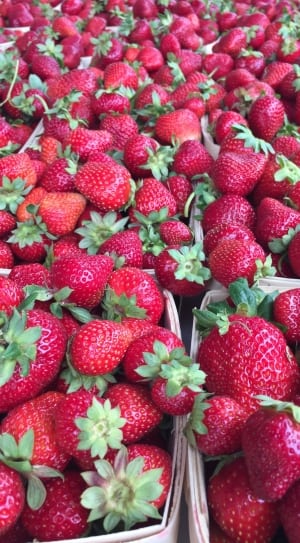 bundle of Strawberry fruits thumbnail