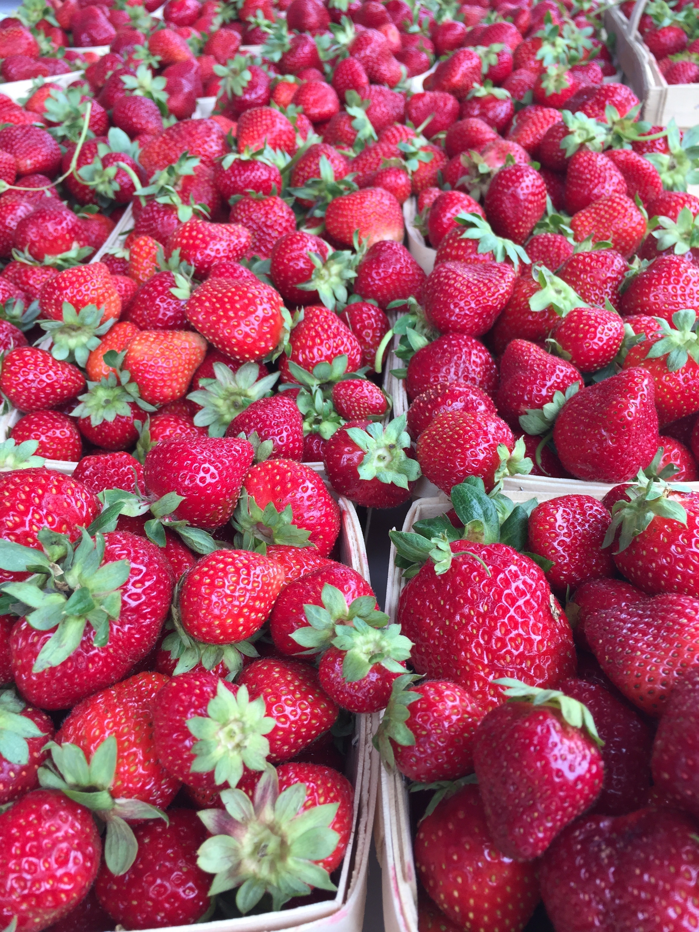 bundle of Strawberry fruits