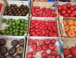 tomatoes and bell peppers in crates thumbnail