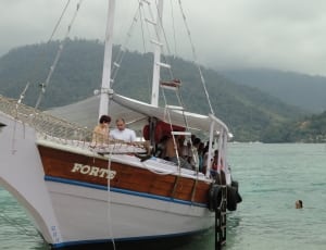 white and brown forte boat thumbnail