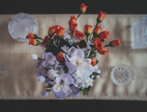 purple orange and white flowers near brown surface thumbnail