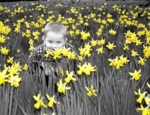 yellow flowers and boy's checkered dress shirt thumbnail