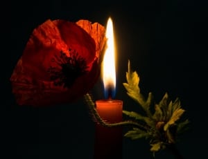 red taper candle thumbnail