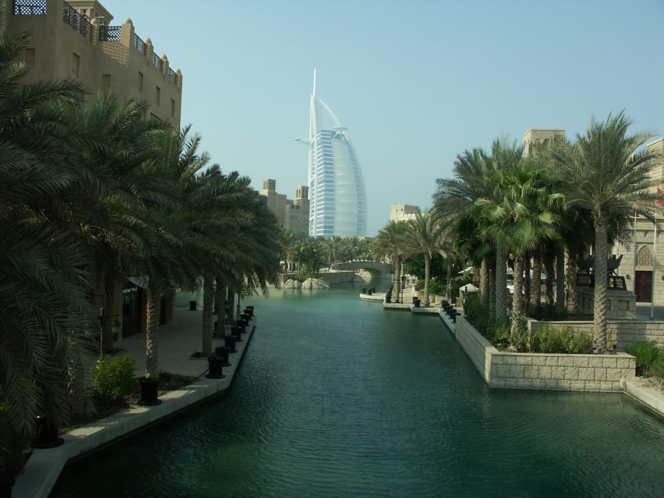 Dates palm trees by the creek perpendicular to Burj Al Arab in dubai UAE preview