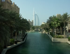 Dates palm trees by the creek perpendicular to Burj Al Arab in dubai UAE thumbnail