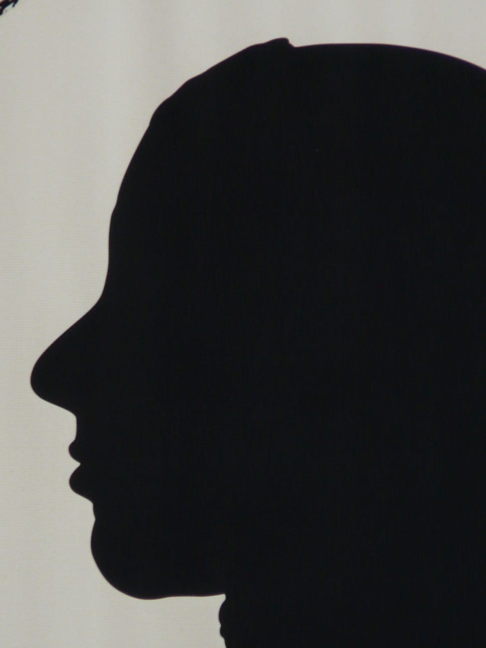 silhouette of person's face preview