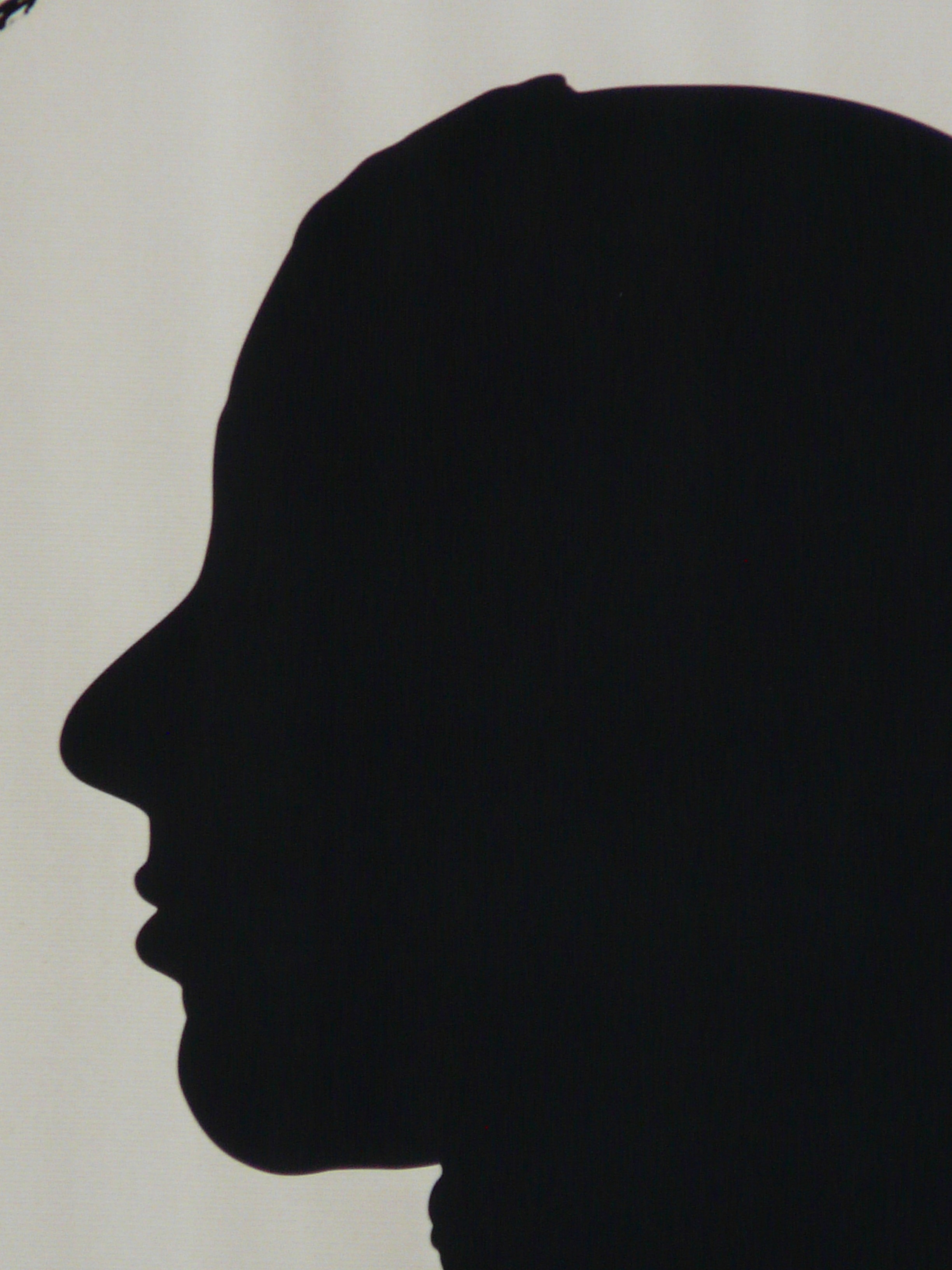 silhouette of person's face