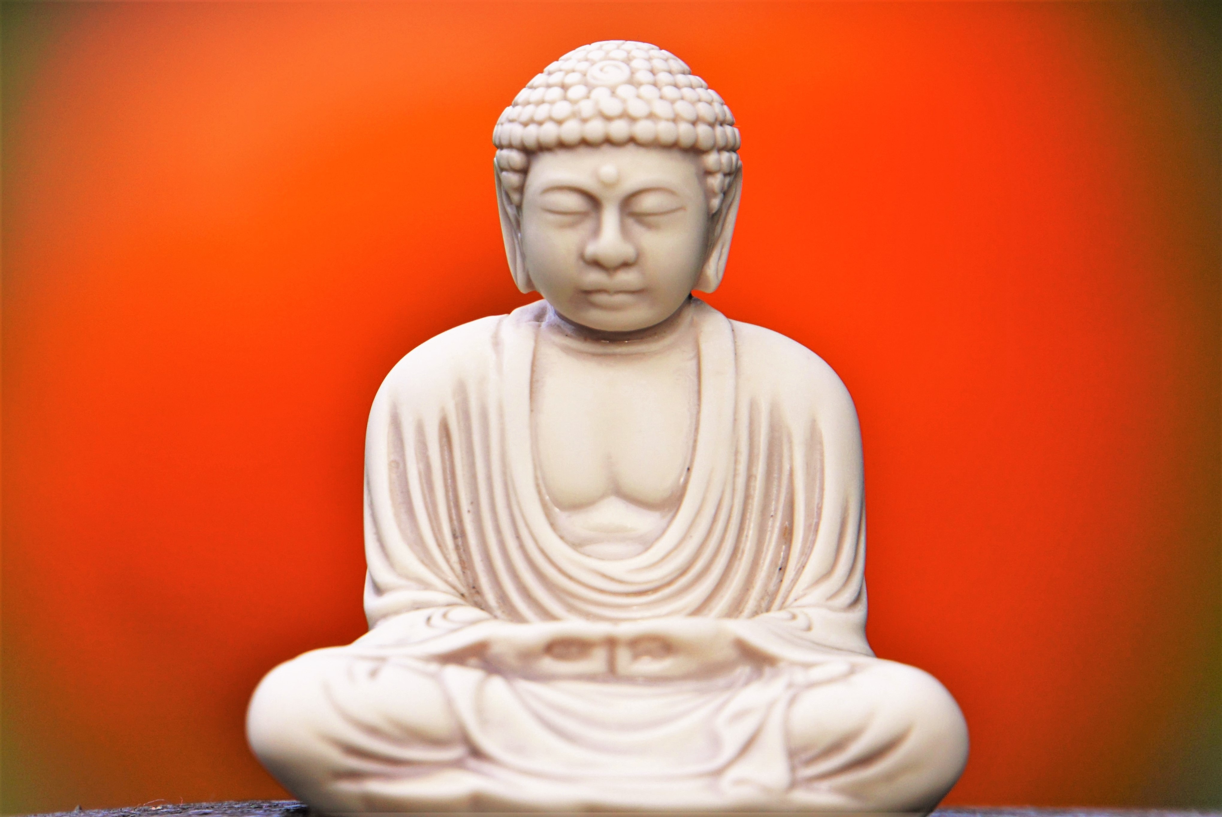 white sitting buddha figurine