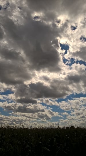 white and gray clouds thumbnail