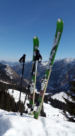 green white and black skiboard thumbnail