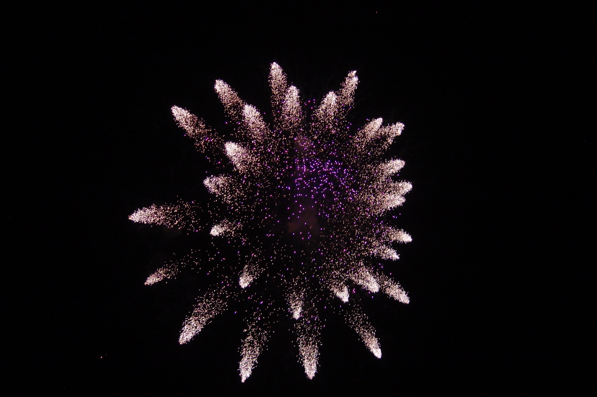 pink and brown fireworks