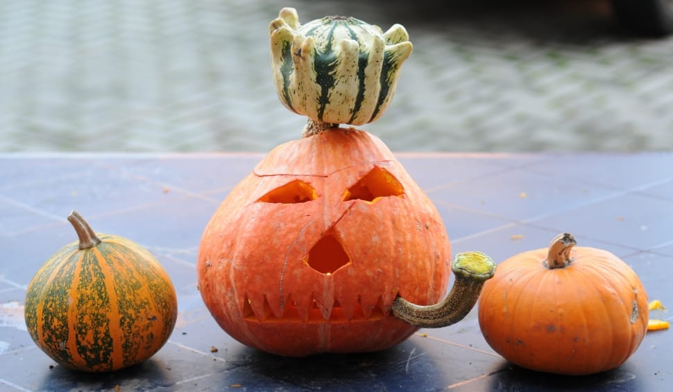 Pumpkin, Halloween, Pumpkin Ghost, pumpkin, food and drink preview