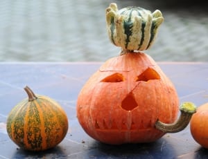 Pumpkin, Halloween, Pumpkin Ghost, pumpkin, food and drink thumbnail