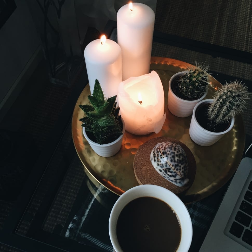 potted cactus plants and pillar candles preview