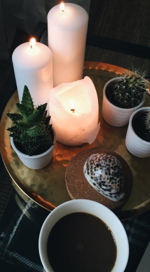 potted cactus plants and pillar candles thumbnail