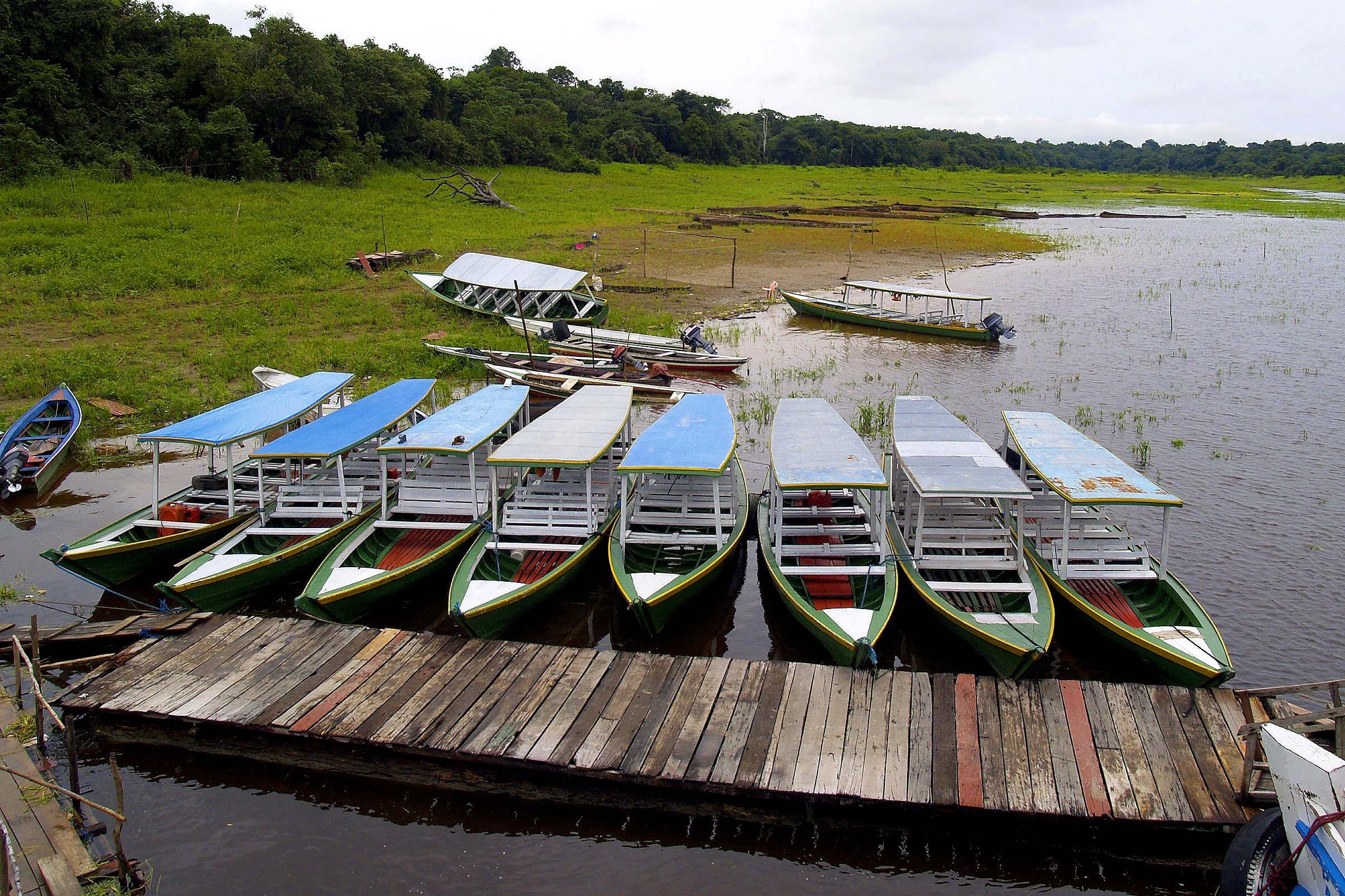 green and white boat on brown wooden dock