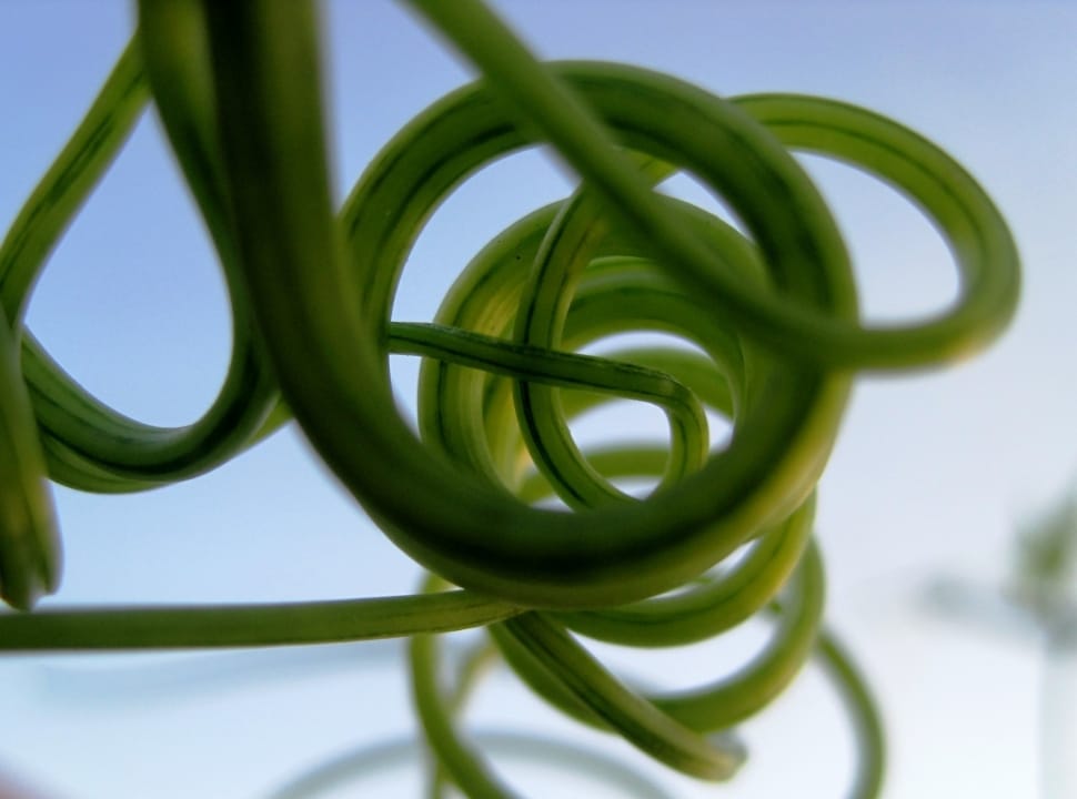 green coated wire preview