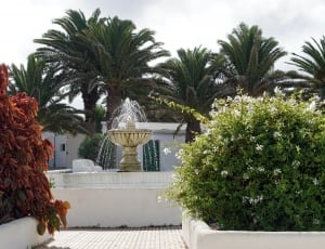 white concrete water fountain and green palm trees thumbnail