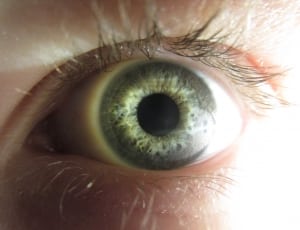 gray pupil thumbnail