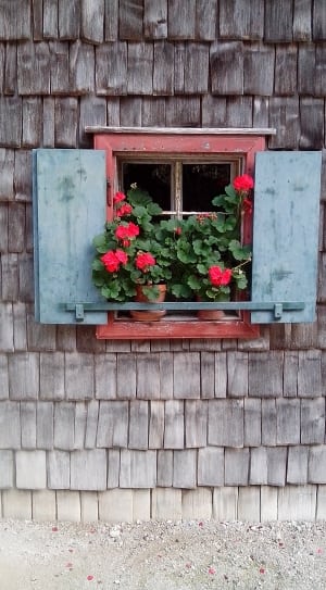 red and blue wooden window pane thumbnail