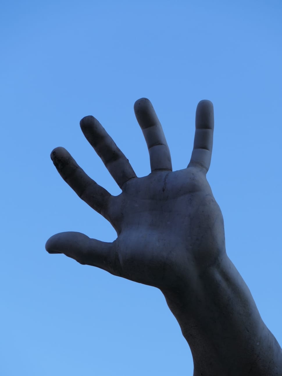 person showing left human hand preview