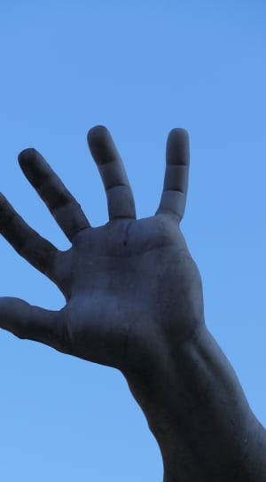 person showing left human hand thumbnail