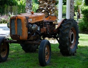 orange tractor on grass field thumbnail