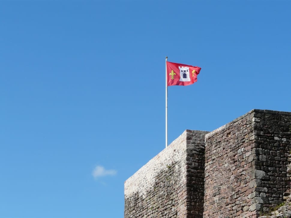 fleur de lis castle flag preview