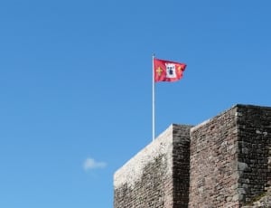 fleur de lis castle flag thumbnail