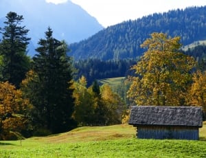 brown wooden house on grass field over looking mountain filled with pine trees thumbnail
