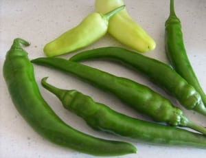 green chili pepper thumbnail