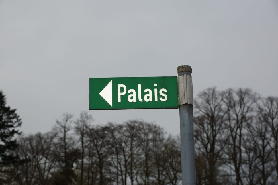 green palais signage preview
