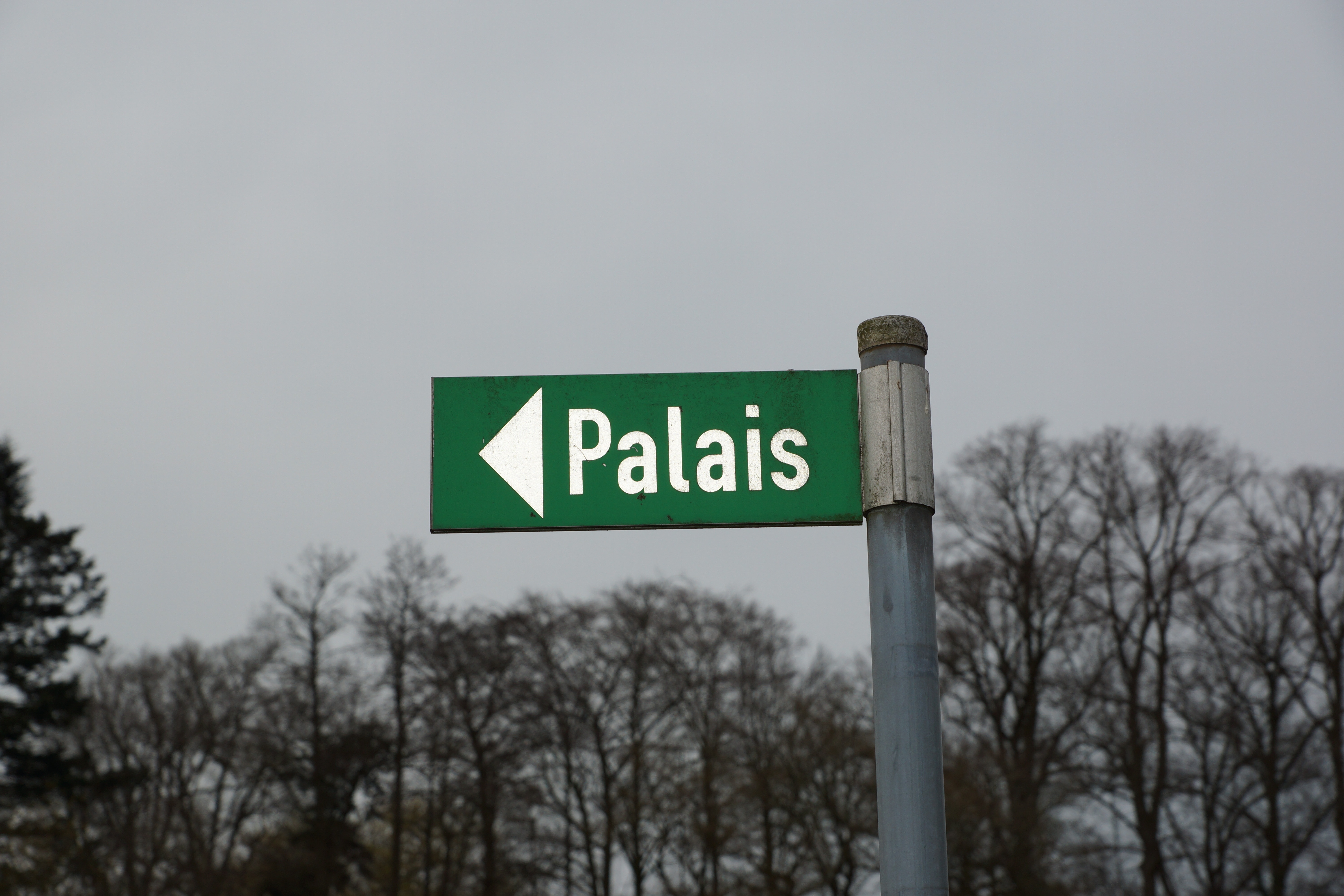 green palais signage