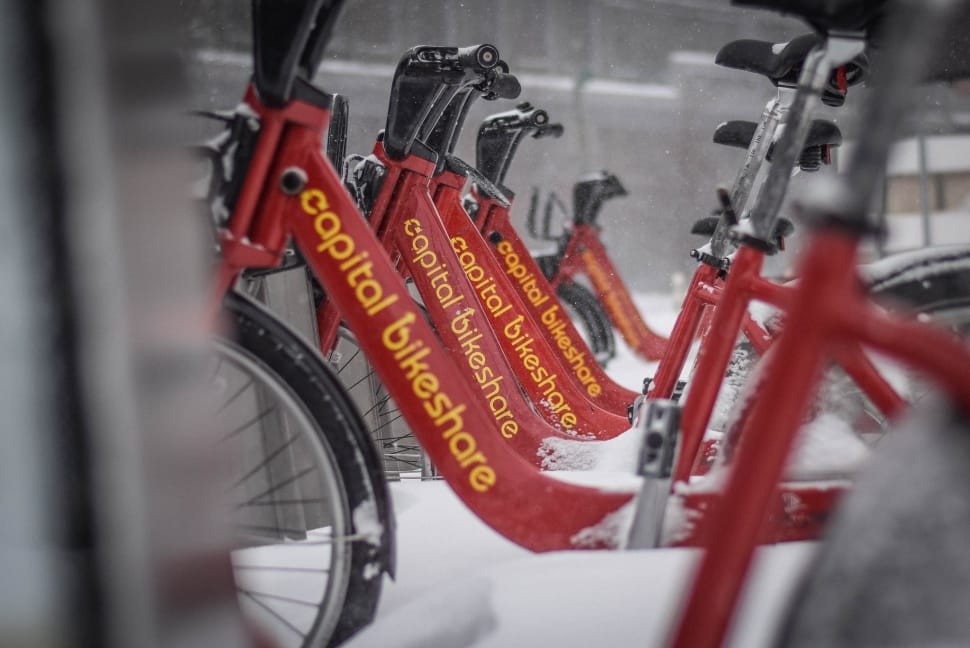 red black and yellow capital bikeshare print bicycles preview