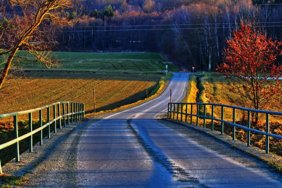 photo of road on farm during daytime preview