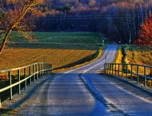 photo of road on farm during daytime thumbnail